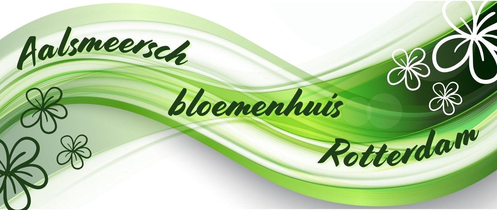 Aalsmeersch Bloemenhuis Rotterdam Logo