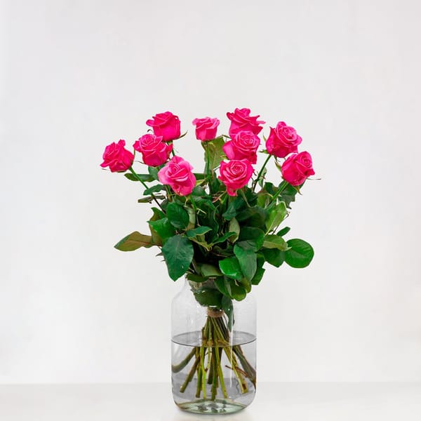 Roze rozen met grote knop