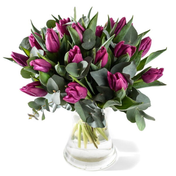 Paarse tulpen