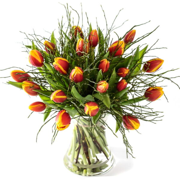 Rood gele tulpen