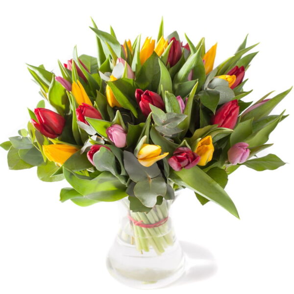 Gemengde tulpen