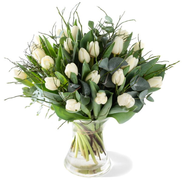 Witte tulpen