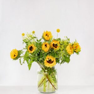 Zonnebloemen