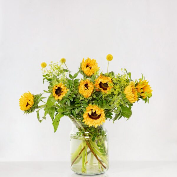 Zonnebloemen